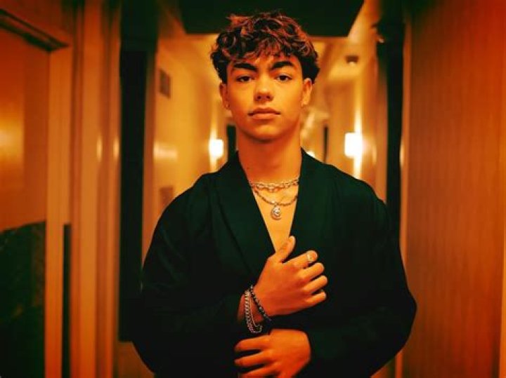 How Much Net Worth Does Alisa Ermolaev Hold? Thecelebscloset