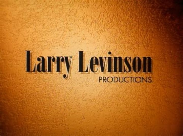 Larry Levinson Net Worth (2024 Update)