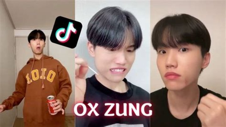 What Happened to Ox_zung? Who is Ox_zung? Why Did Ox_zung Go to Jail? - SarkariResult